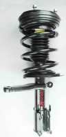 Front Complete Strut Assembly