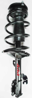 Front Complete Strut Assembly