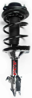 Front Complete Strut Assembly