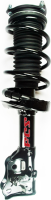 Front Complete Strut Assembly