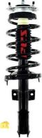 Front Complete Strut Assembly