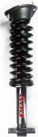 Front Complete Strut Assembly