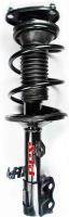 Front Complete Strut Assembly