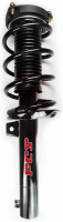 Front Complete Strut Assembly