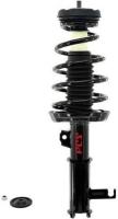 Front Complete Strut Assembly