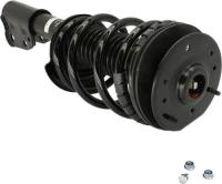 Front Complete Strut Assembly