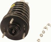 Front Complete Strut Assembly