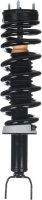 Front Complete Strut Assembly