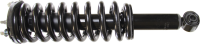 Front Complete Strut Assembly