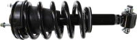 Front Complete Strut Assembly