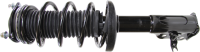 Front Complete Strut Assembly