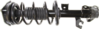 Front Complete Strut Assembly