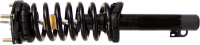 Front Complete Strut Assembly