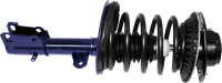 Front Complete Strut Assembly