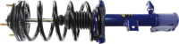 Front Complete Strut Assembly