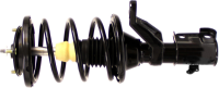 Front Complete Strut Assembly