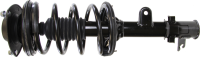Front Complete Strut Assembly