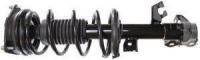 Front Complete Strut Assembly