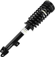 Front Complete Strut Assembly