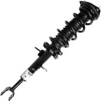 Front Complete Strut Assembly