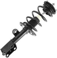Front Complete Strut Assembly
