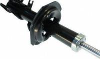 Front Gas Charged Strut 339364