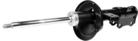 Front OESpectrum Strut