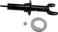 Front OESpectrum Strut