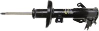 Front OESpectrum Strut