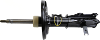 Front OESpectrum Strut