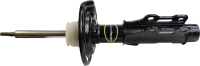 Front OESpectrum Strut