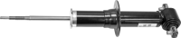 Front Premium Gas Strut