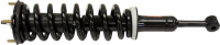 Front Quick Strut Assembly