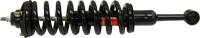 Front Quick Strut Assembly