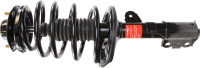 Front Quick Strut Assembly