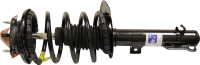 Front Quick Strut Assembly 172258