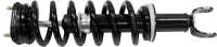 Front Quick Strut Assembly