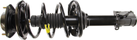 Front Quick Strut Assembly