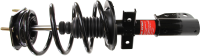 Front Quick Strut Assembly 172949