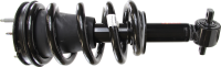 Front Quick Strut Assembly