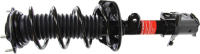 Front Quick Strut Assembly