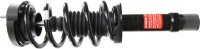 Front Quick Strut Assembly