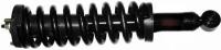 Front Quick Strut Assembly 171352R