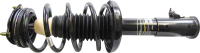 Front Quick Strut Assembly