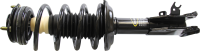 Front Quick Strut Assembly