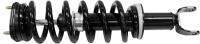 Front Quick Strut Assembly 172292