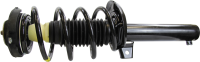 Front Quick Strut Assembly