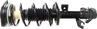 Front Quick Strut Assembly