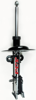 Front Strut