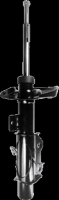 Front Strut